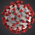 Coronavirus disease (COVID-19) is an infectious disease caused by a new virus.